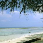 Hotel Tepi Pantai Carita dan Tempat Makan Seafood Rasanya Jempolan Banget