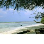 Hotel Di Pantai Carita dan Cafe Seafood Punya Rasa Lezat